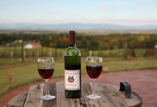 Leave It All Behind: How to Experience Tuscan Wines in the Heart of North Carolina 2