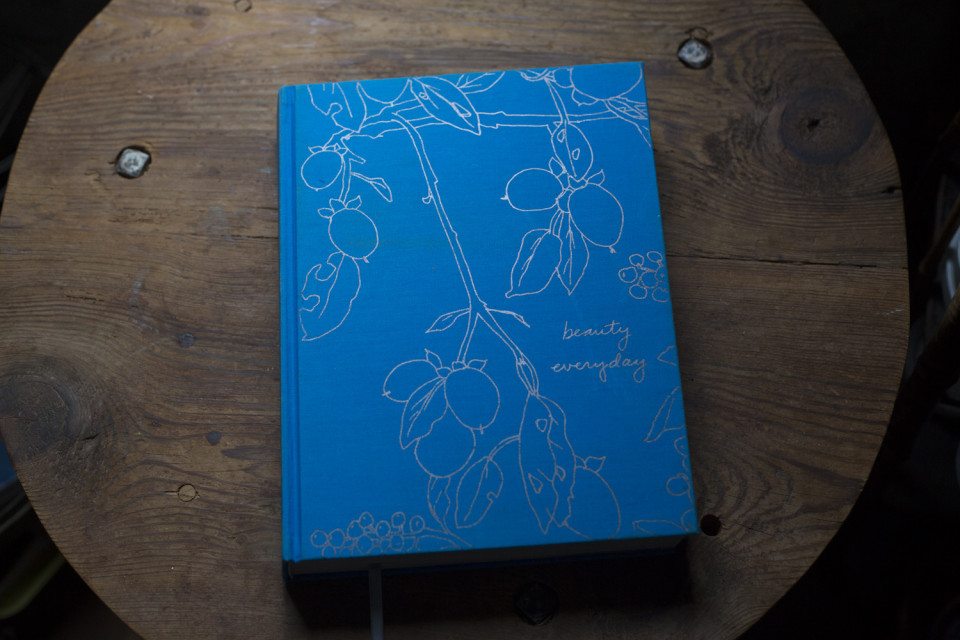 beauty_everyday_book_cover