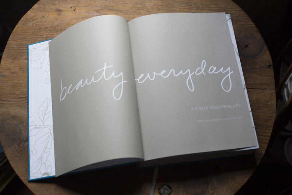 beauty_everyday_book_interior pages 1