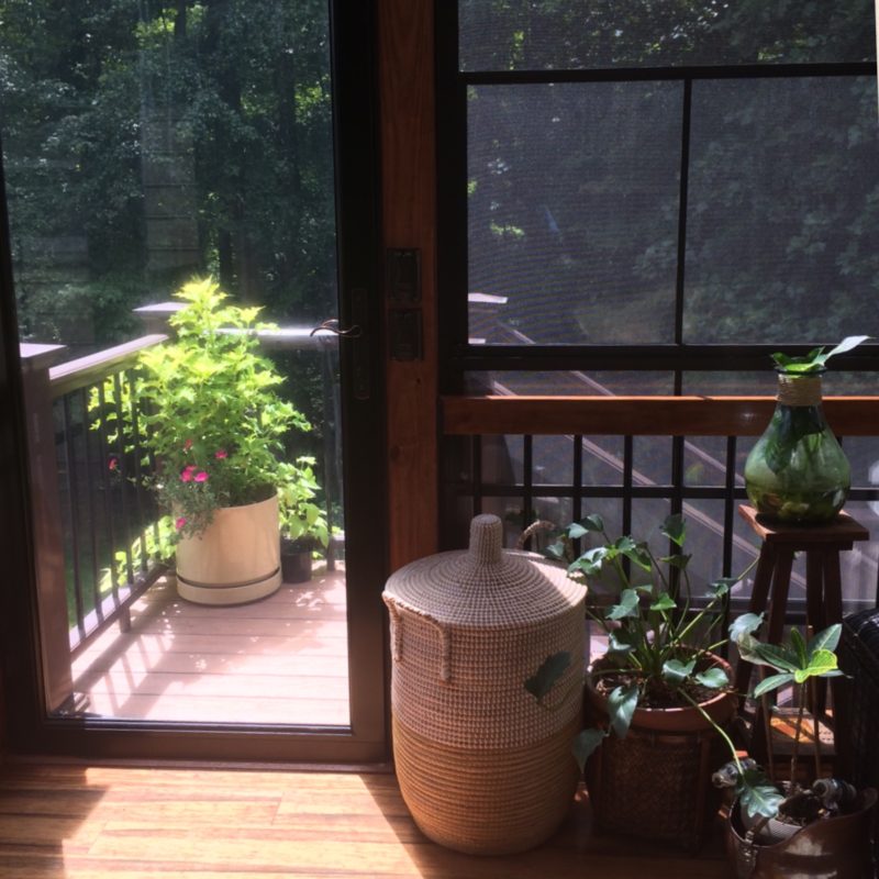 Tips for Design Inspired by Nature from Winston-Salem Designer