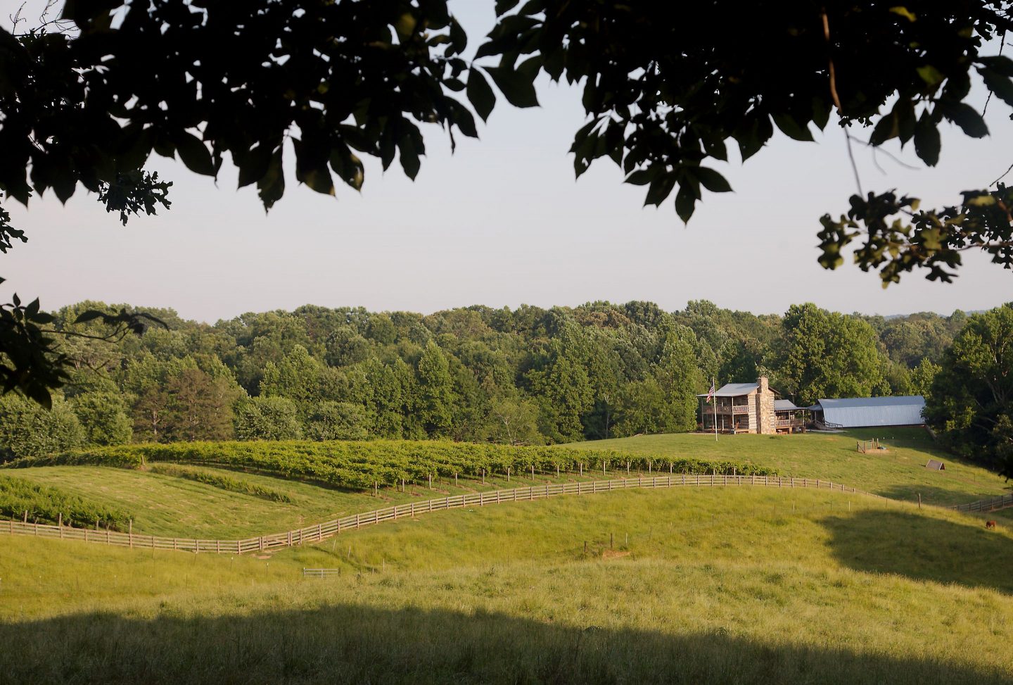 Wineries in Dahlonega, GA That You Must Try BSB MEDIA