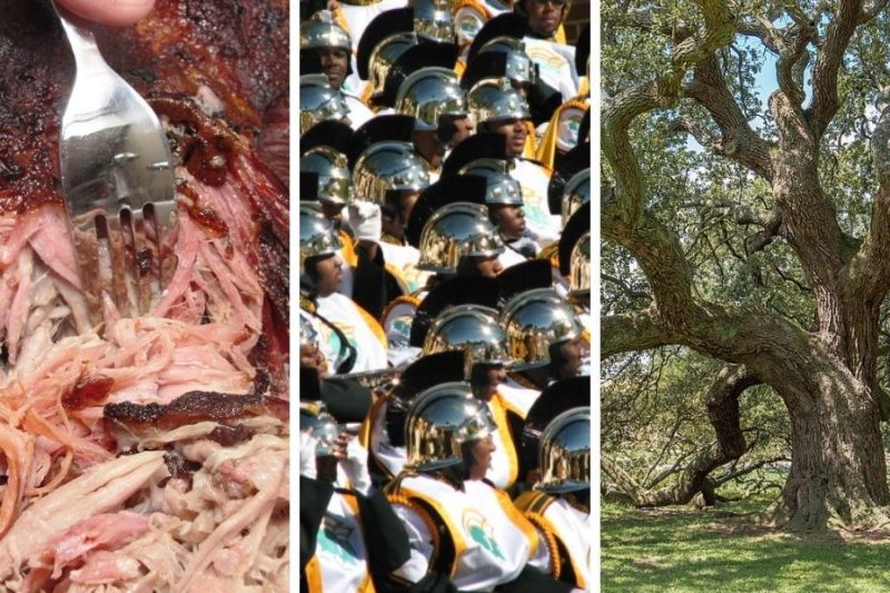 Southeastern Virginia Guide: Seashells, Pigtails, and Pulled Pork - My Experience