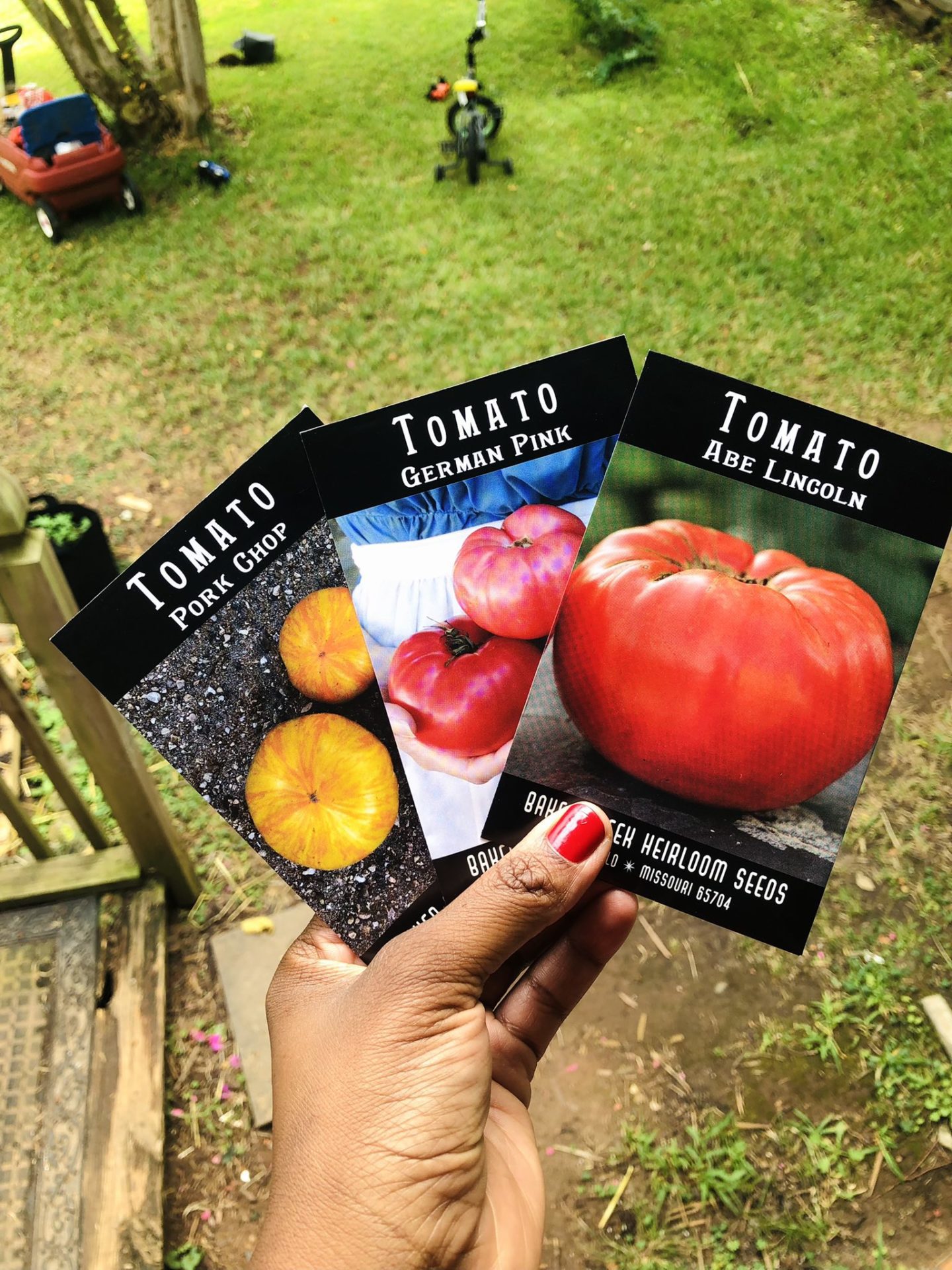 Tomato Planting Guide: Chakayla Gives 8 Tips for Planting Tomatoes