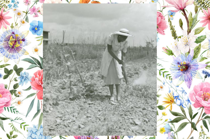 BSB Hacks for Summer Gardening