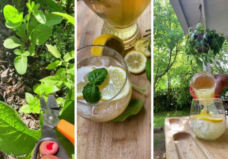Garden Mocktails: How to Make Basil Lavender Lemonade