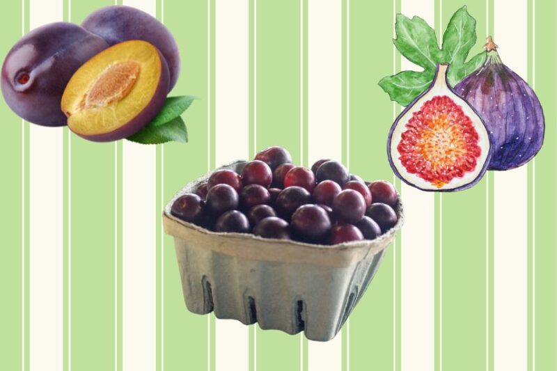 Explore These Southern Fruits We Love By Region