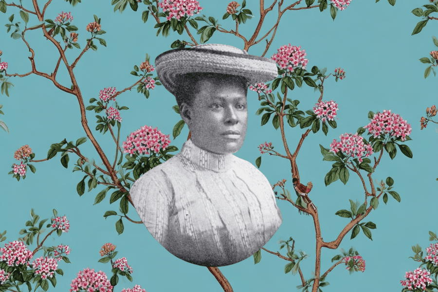 The Daughters of Reconstruction: Bridging the Past and Present